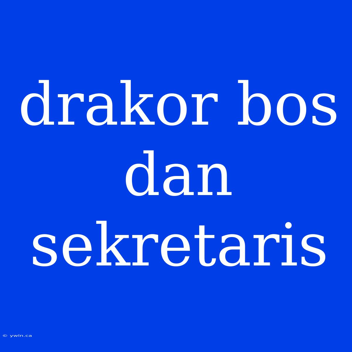 Drakor Bos Dan Sekretaris