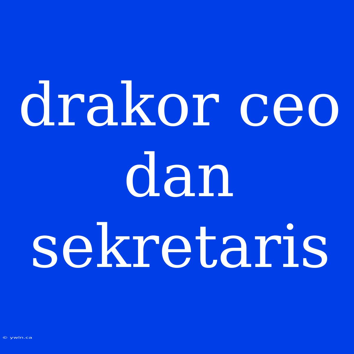 Drakor Ceo Dan Sekretaris