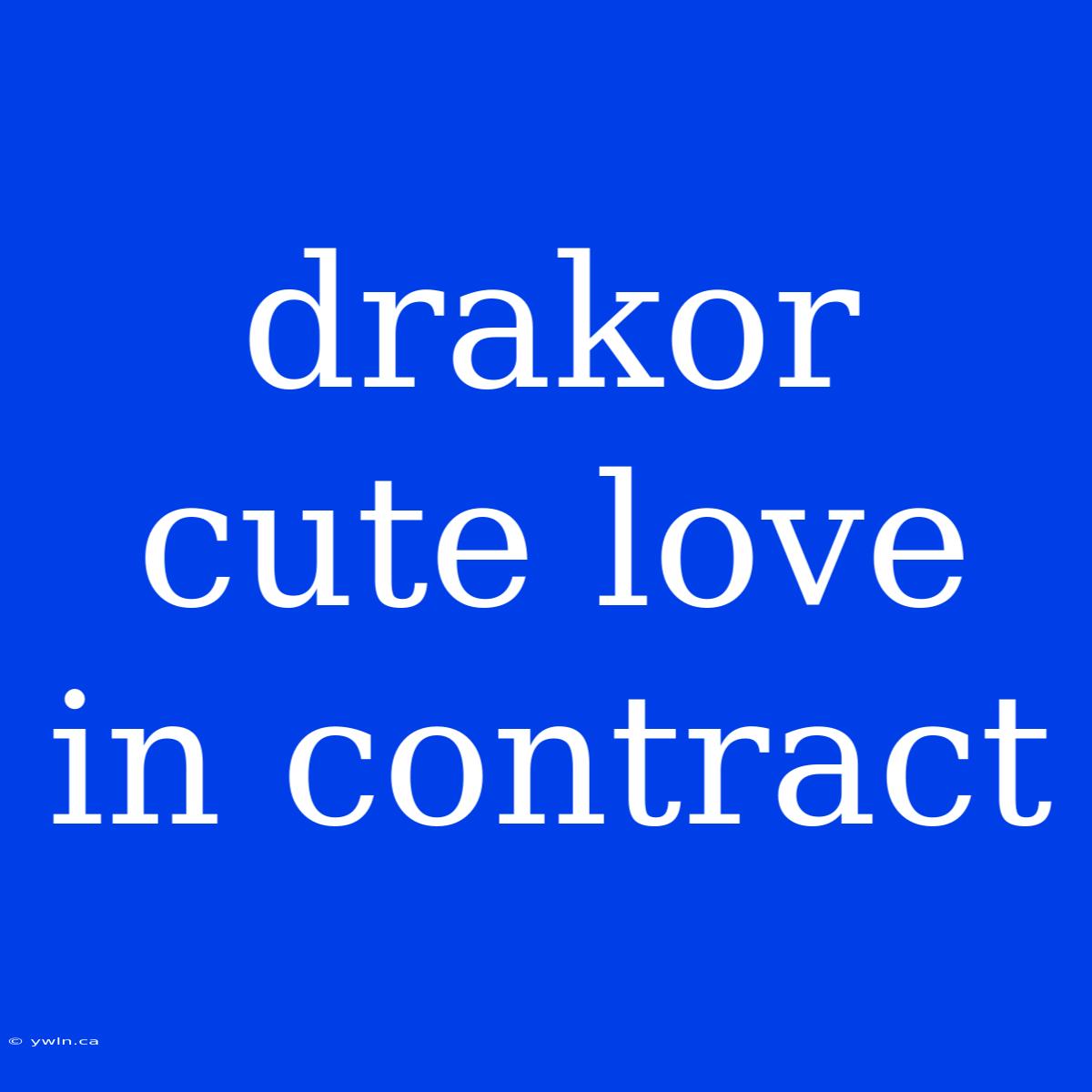 Drakor Cute Love In Contract