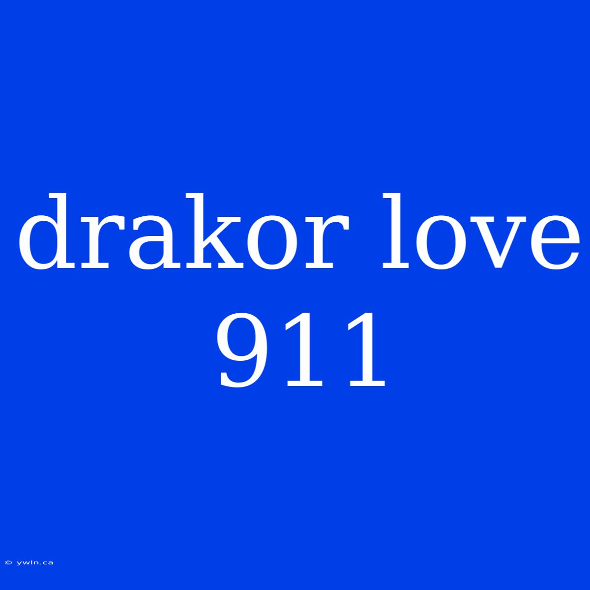 Drakor Love 911