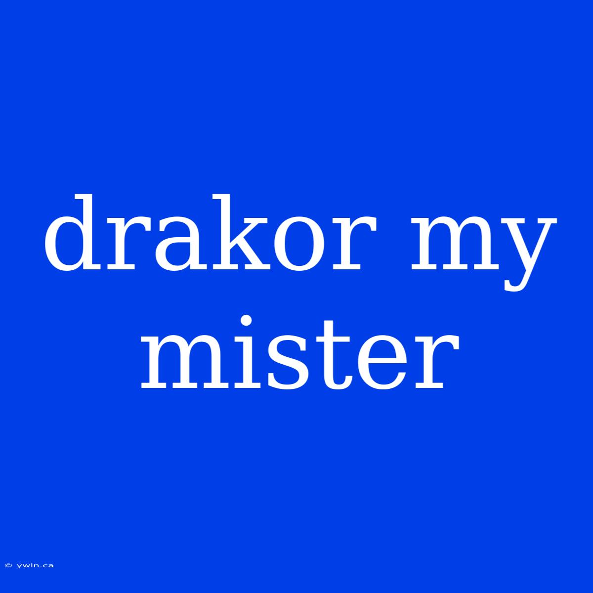 Drakor My Mister