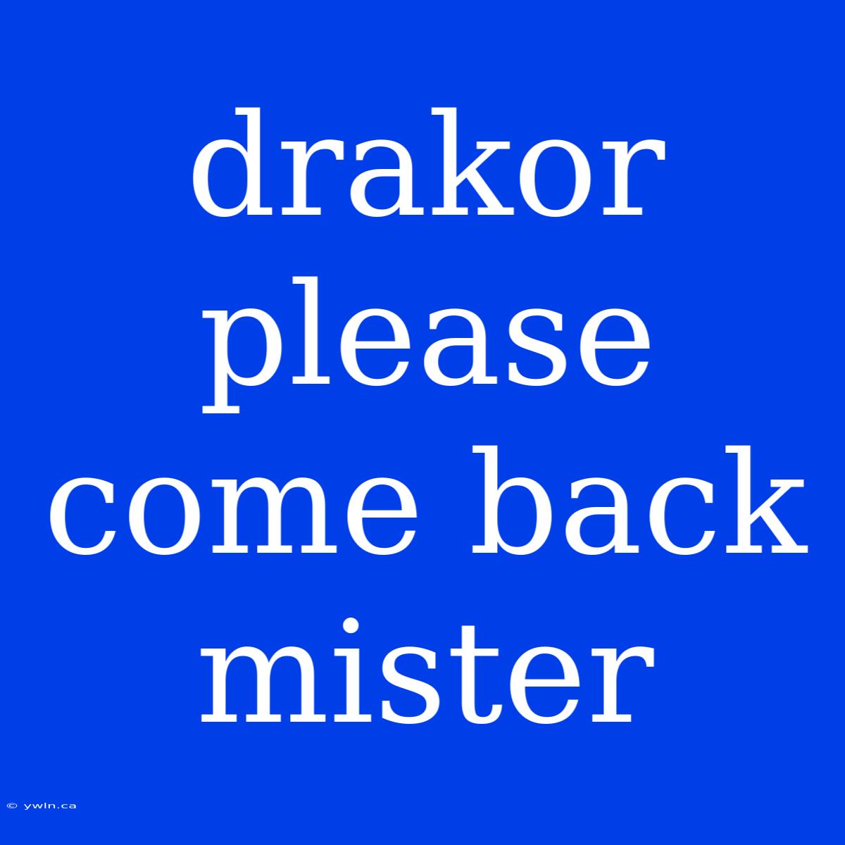 Drakor Please Come Back Mister