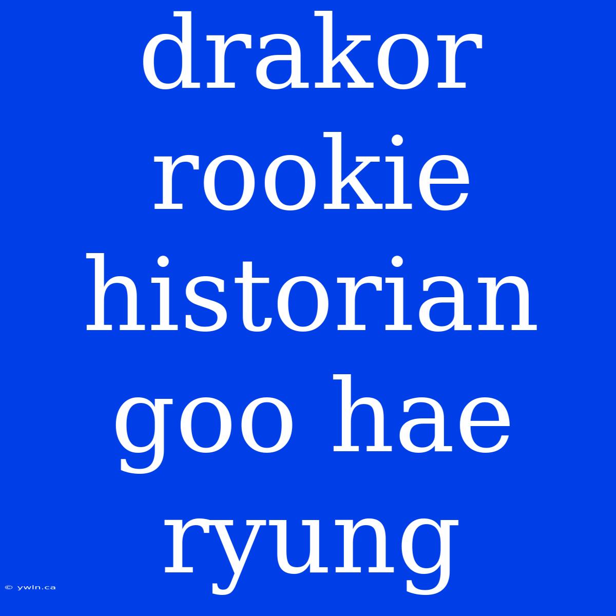 Drakor Rookie Historian Goo Hae Ryung