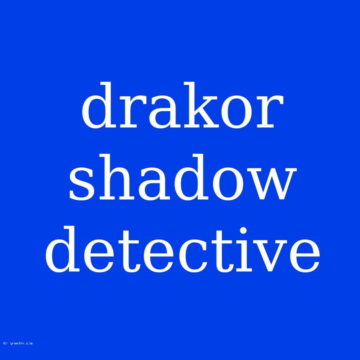 Drakor Shadow Detective