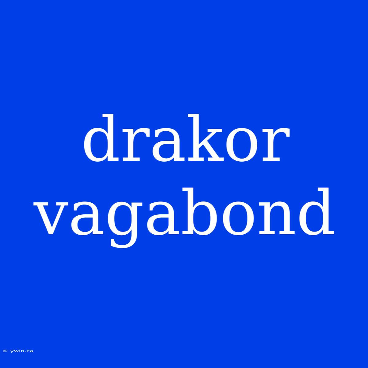 Drakor Vagabond