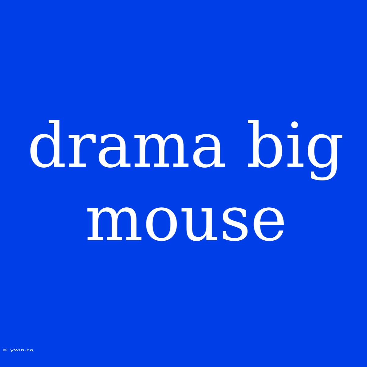 Drama Big Mouse