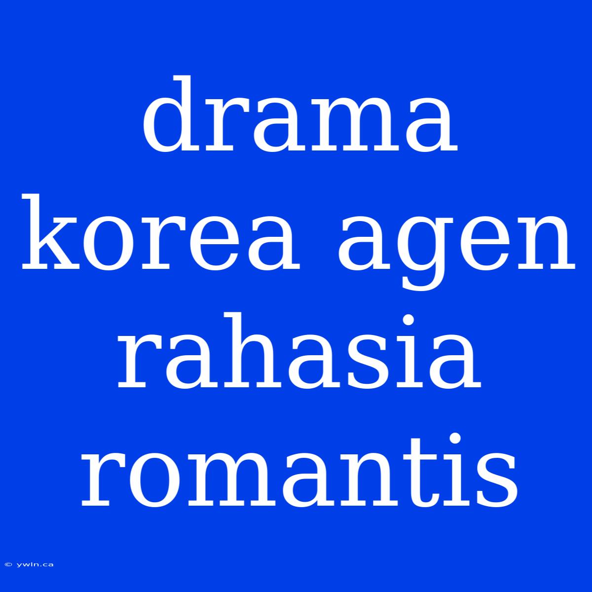 Drama Korea Agen Rahasia Romantis