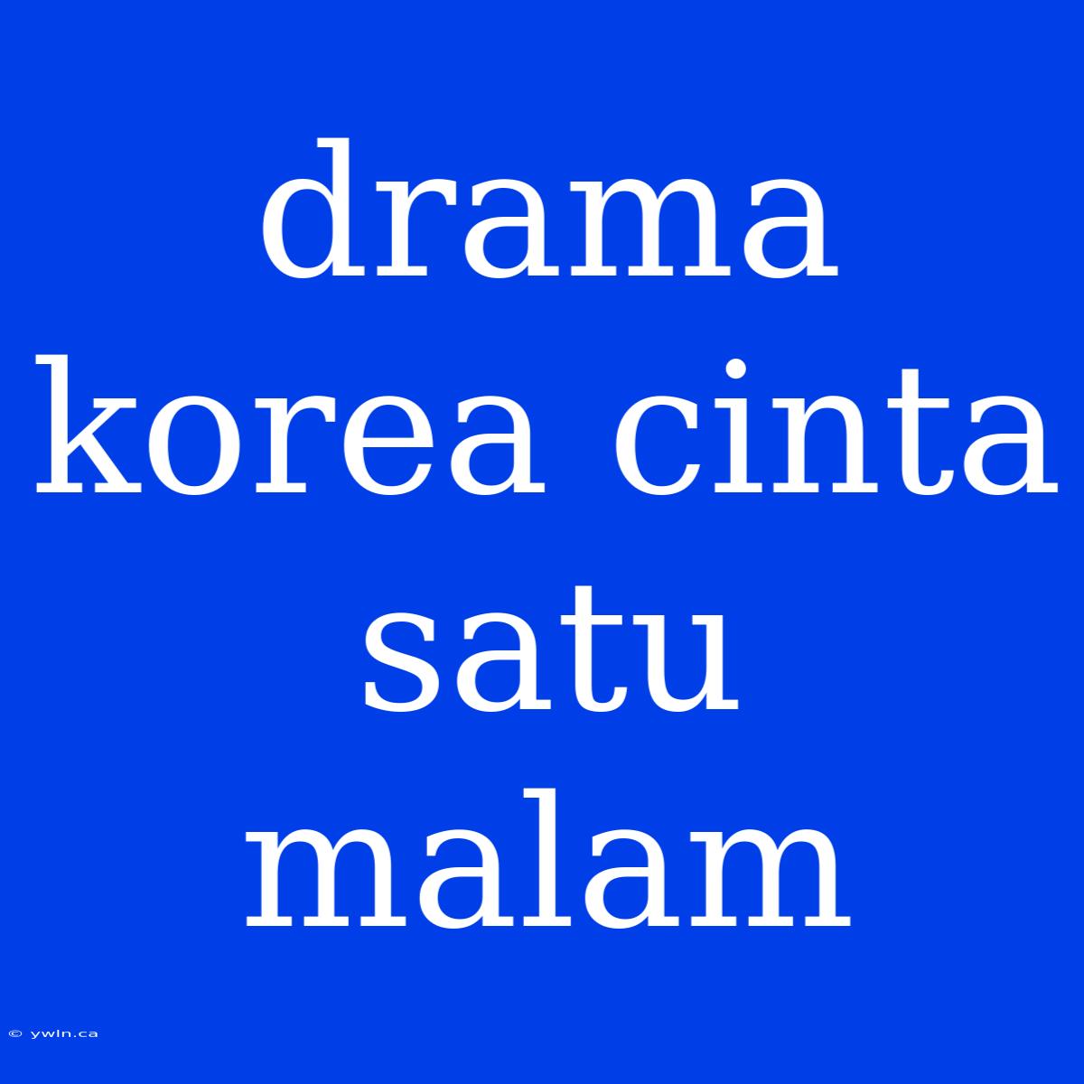 Drama Korea Cinta Satu Malam