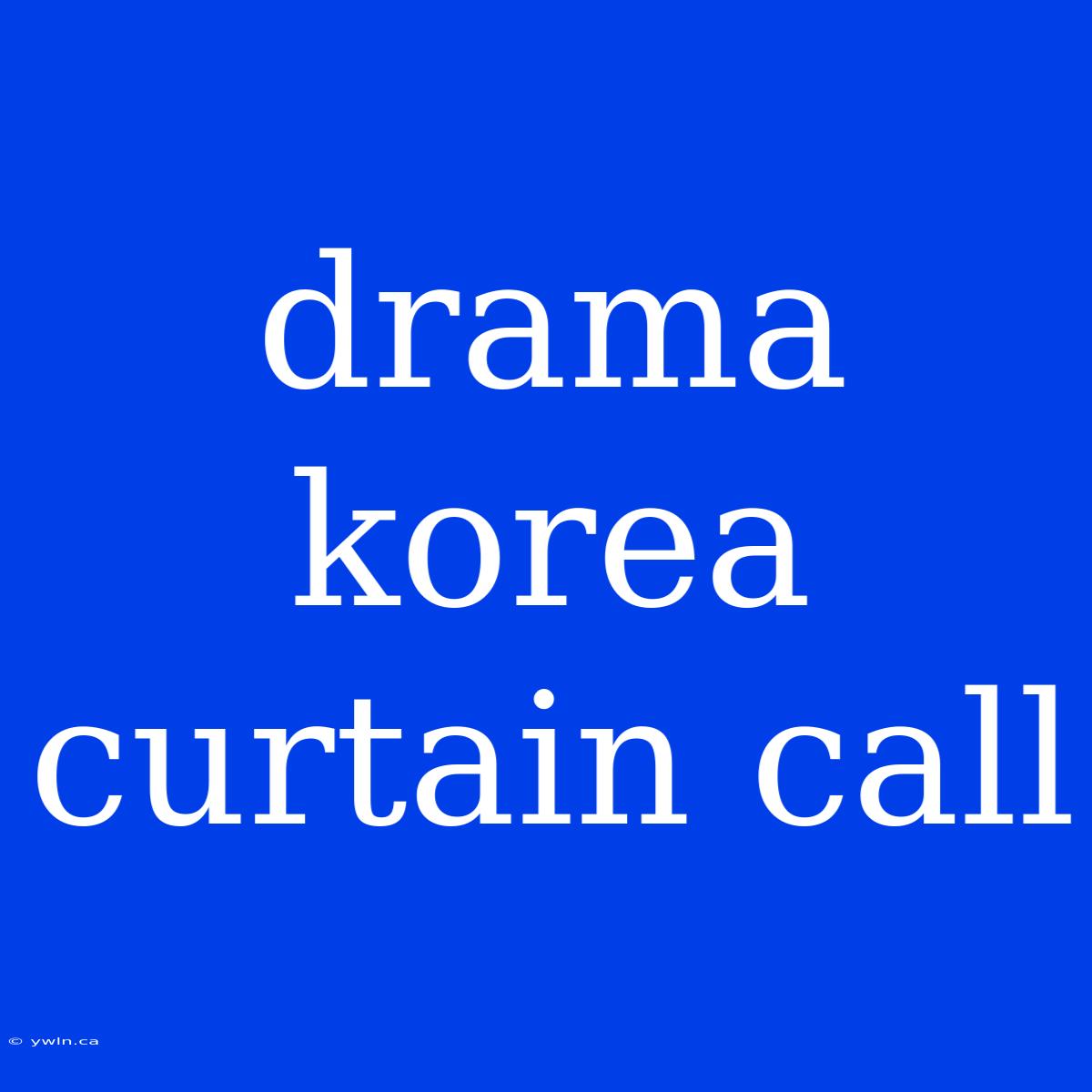 Drama Korea Curtain Call