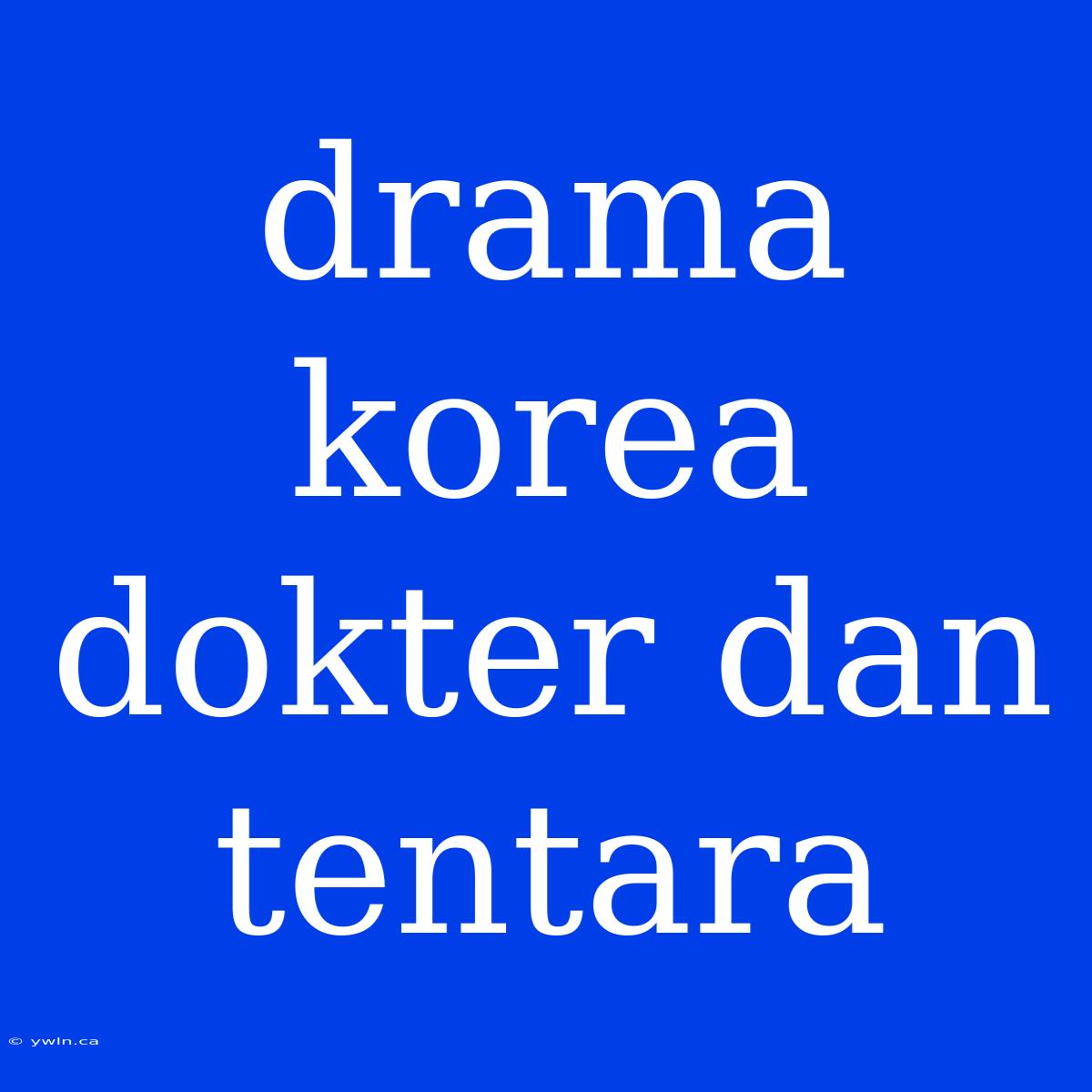 Drama Korea Dokter Dan Tentara