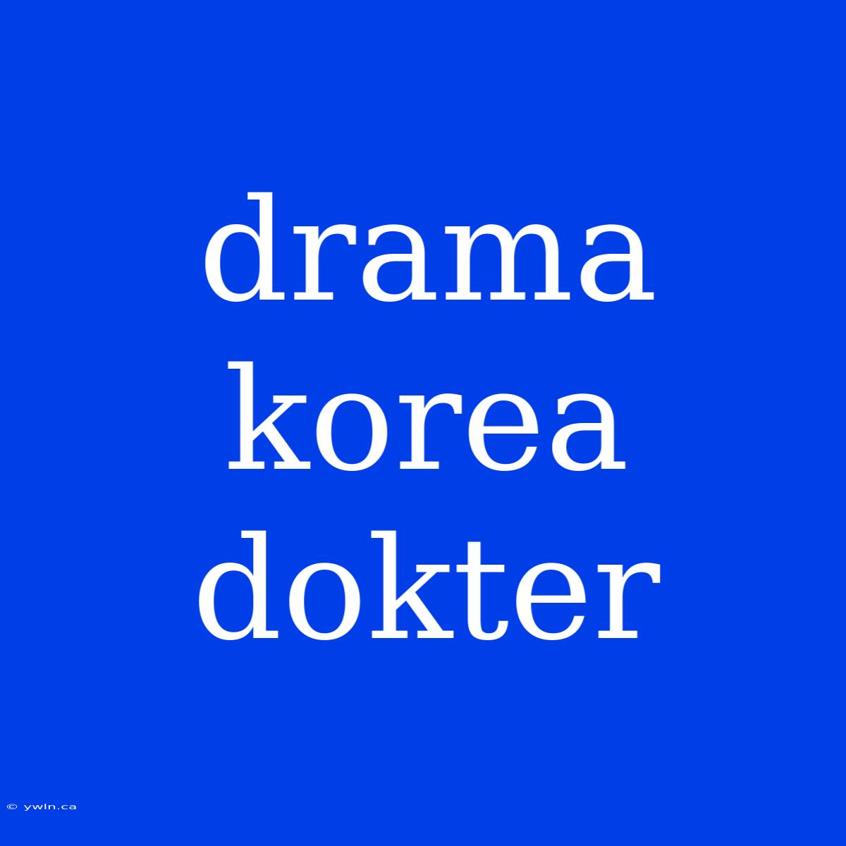 Drama Korea Dokter