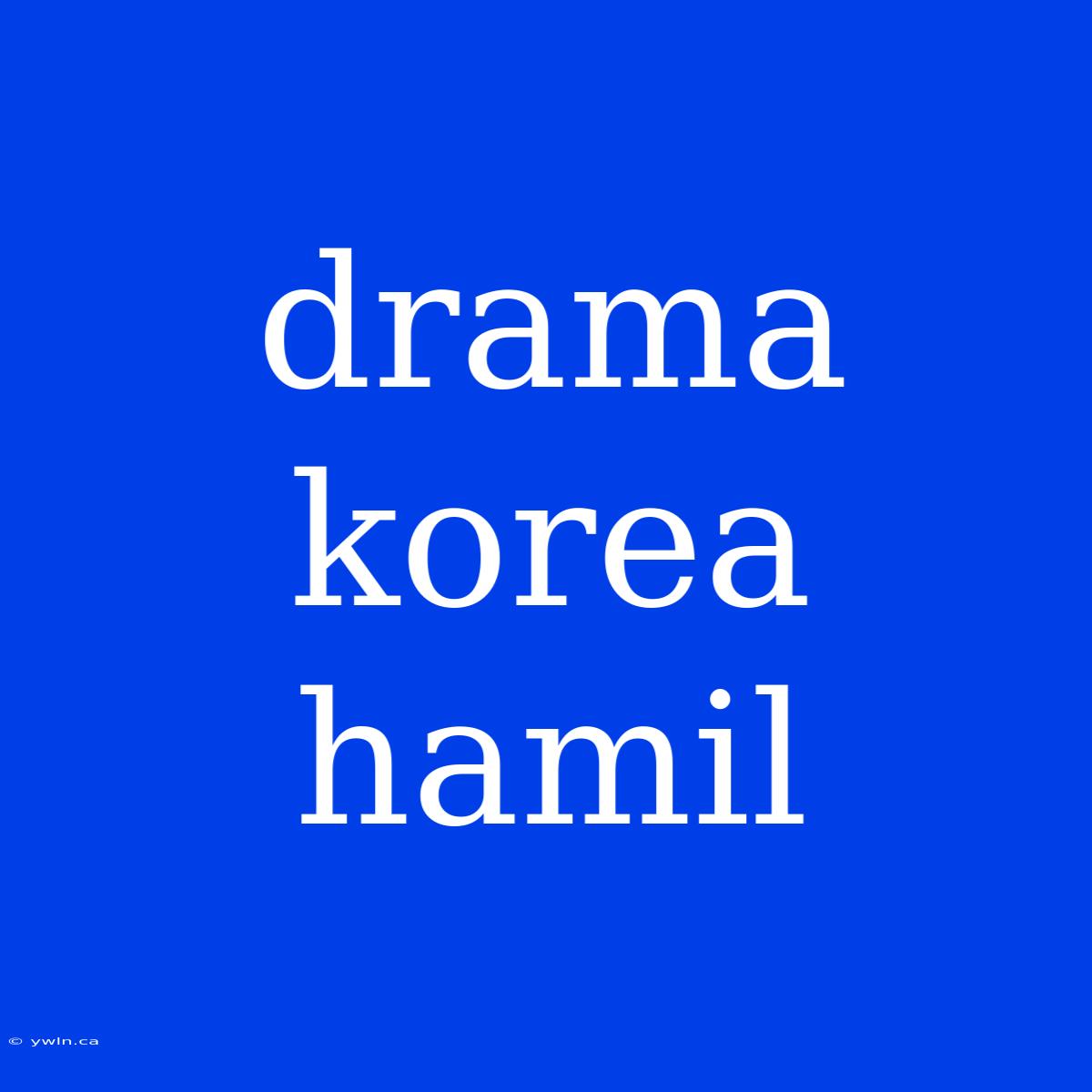 Drama Korea Hamil