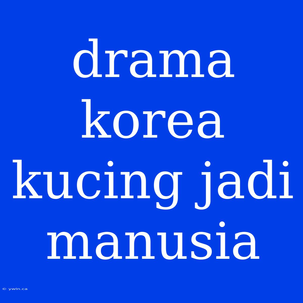 Drama Korea Kucing Jadi Manusia