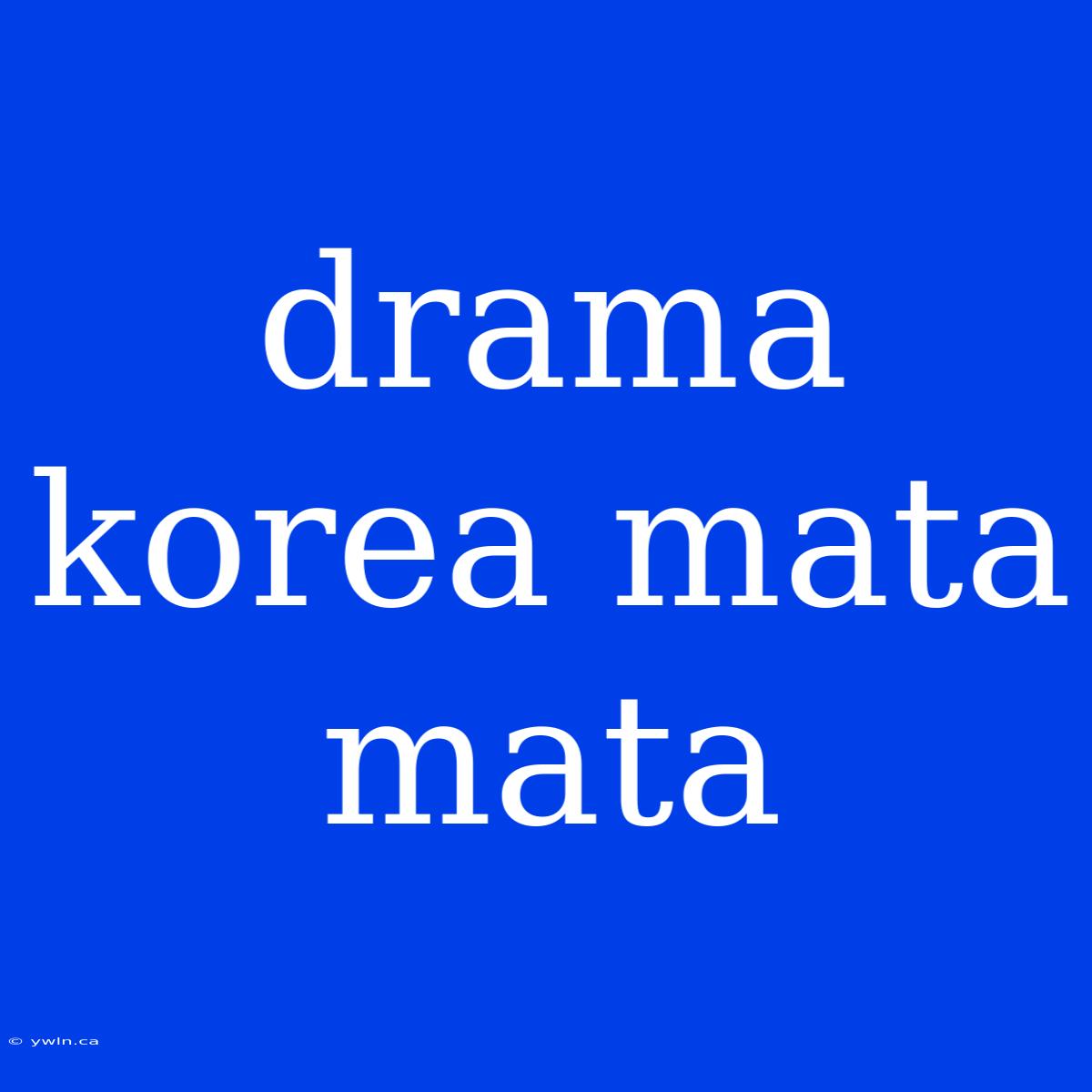 Drama Korea Mata Mata