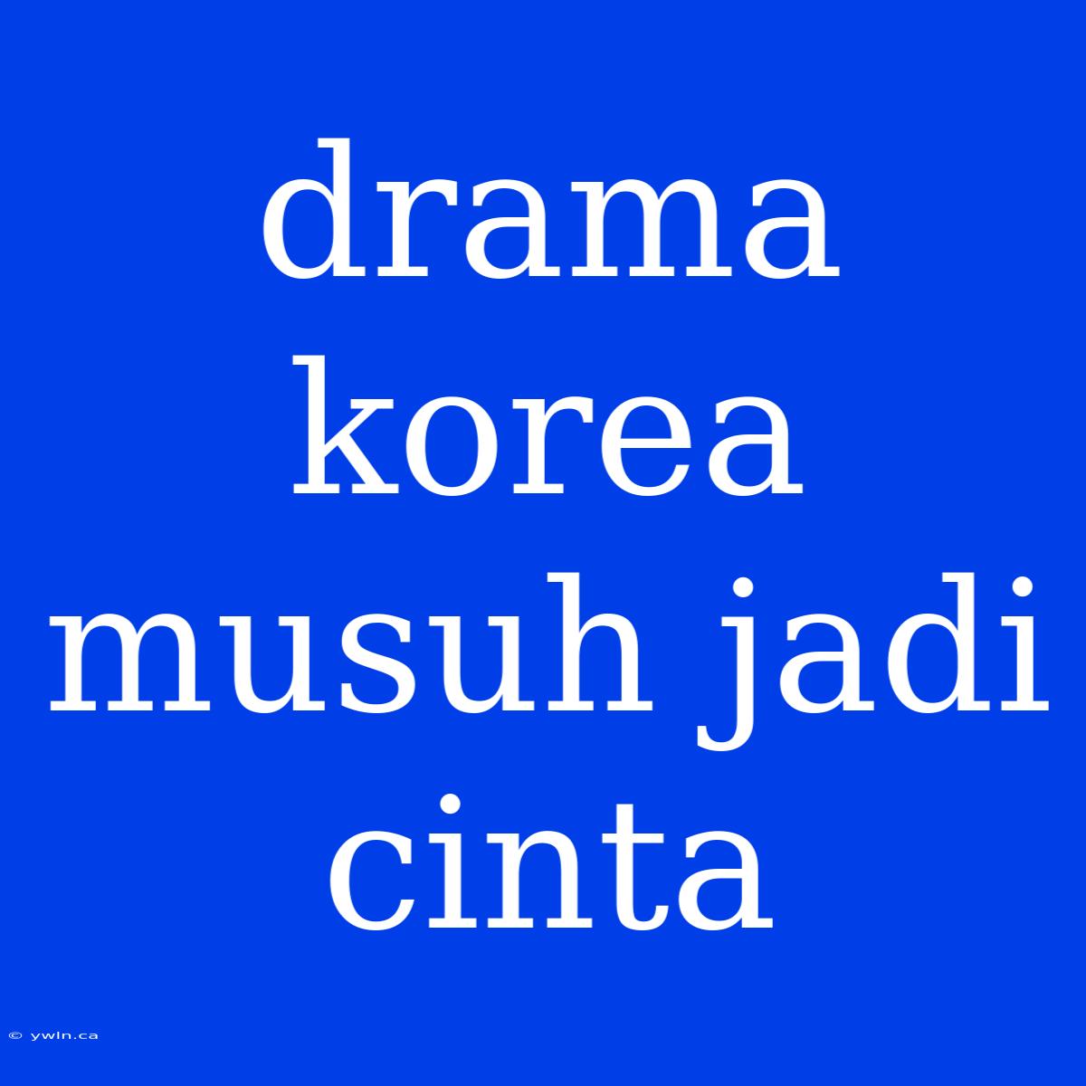 Drama Korea Musuh Jadi Cinta