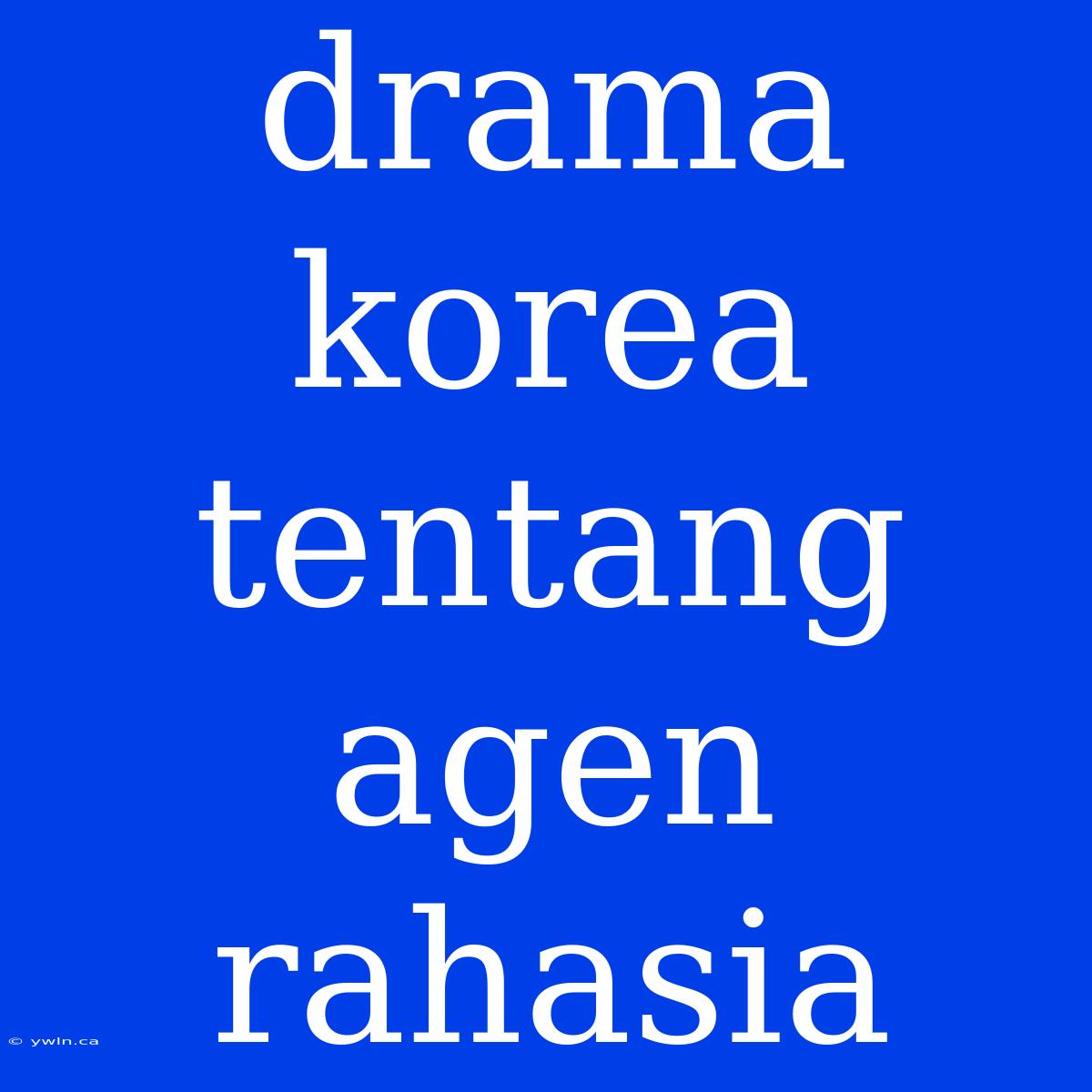 Drama Korea Tentang Agen Rahasia