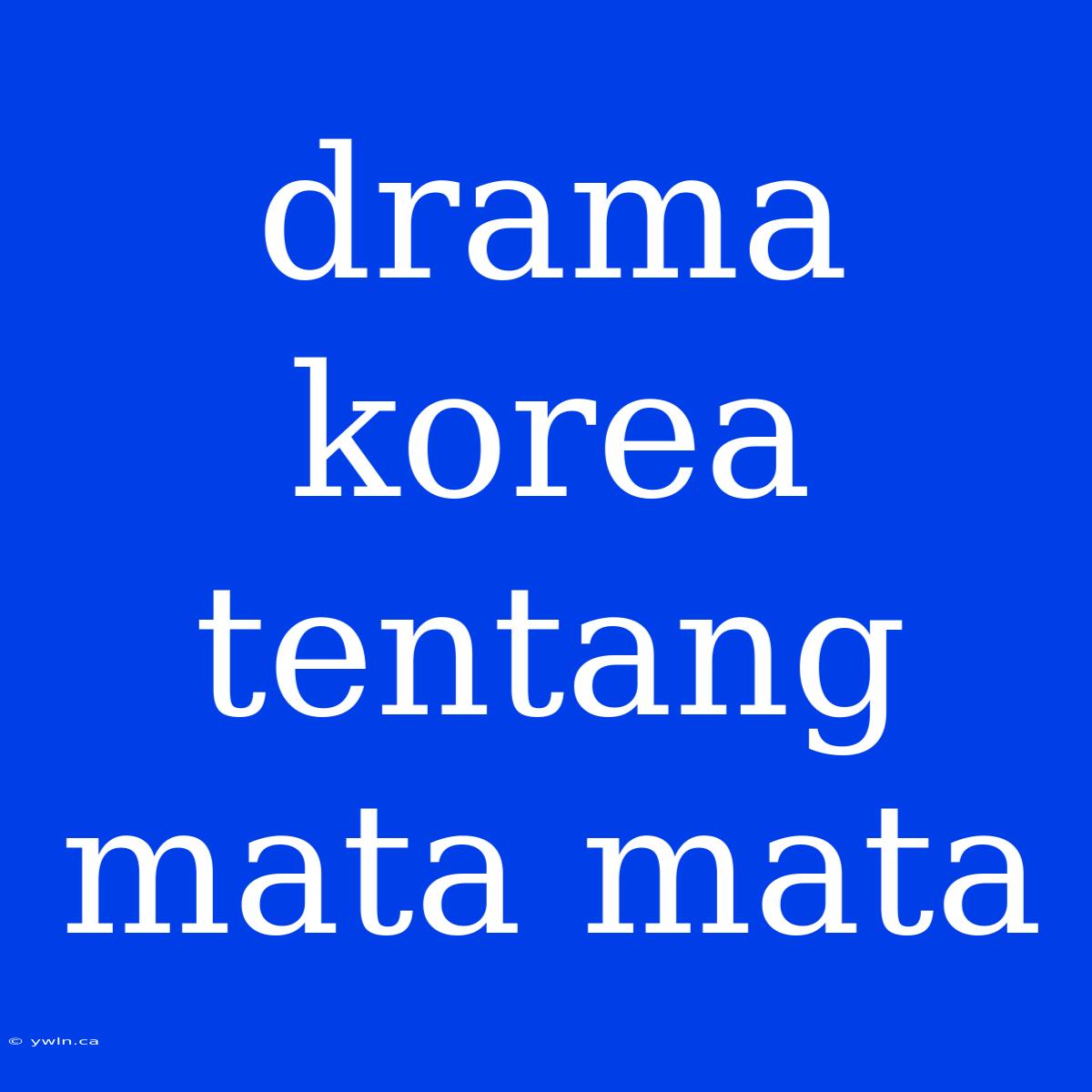 Drama Korea Tentang Mata Mata