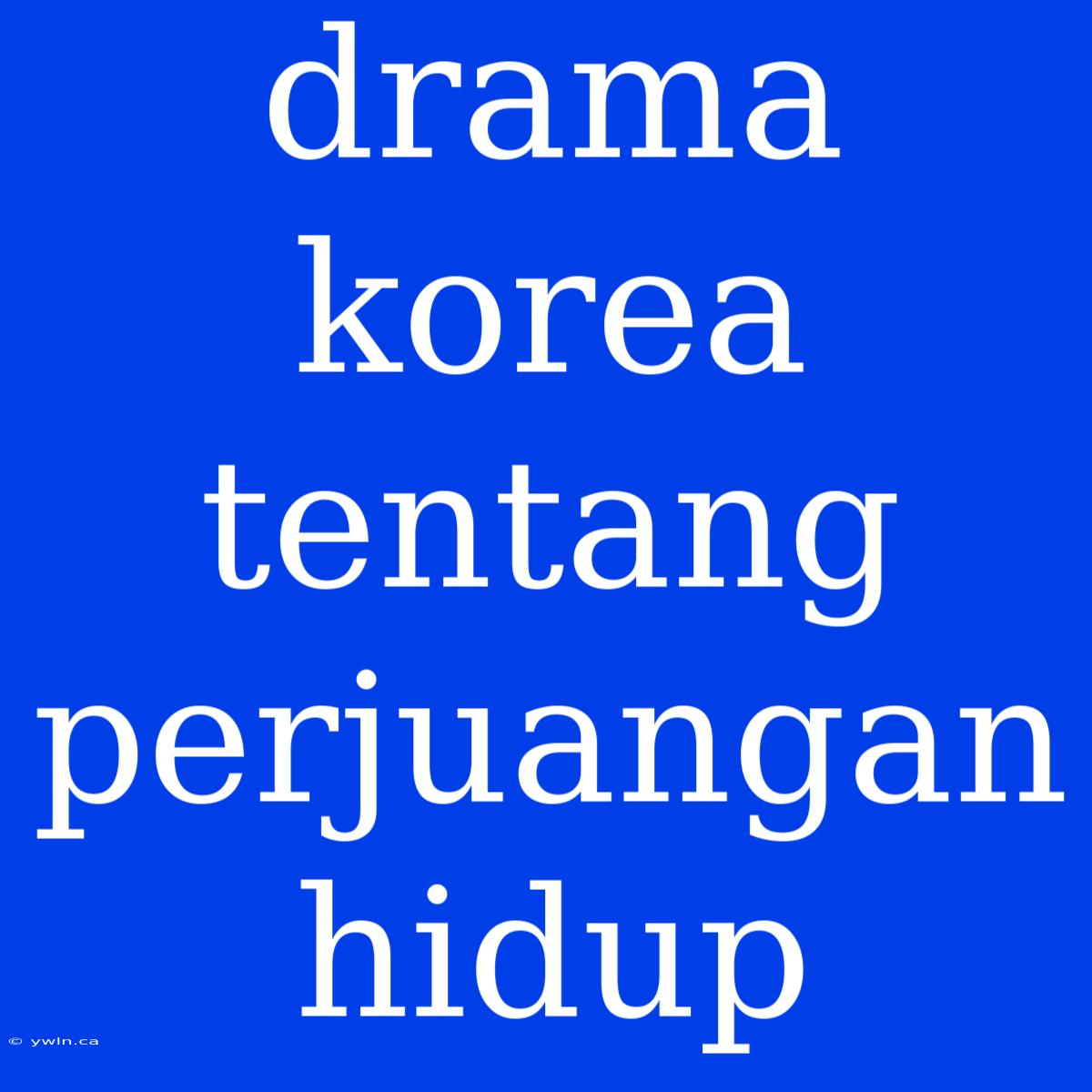 Drama Korea Tentang Perjuangan Hidup