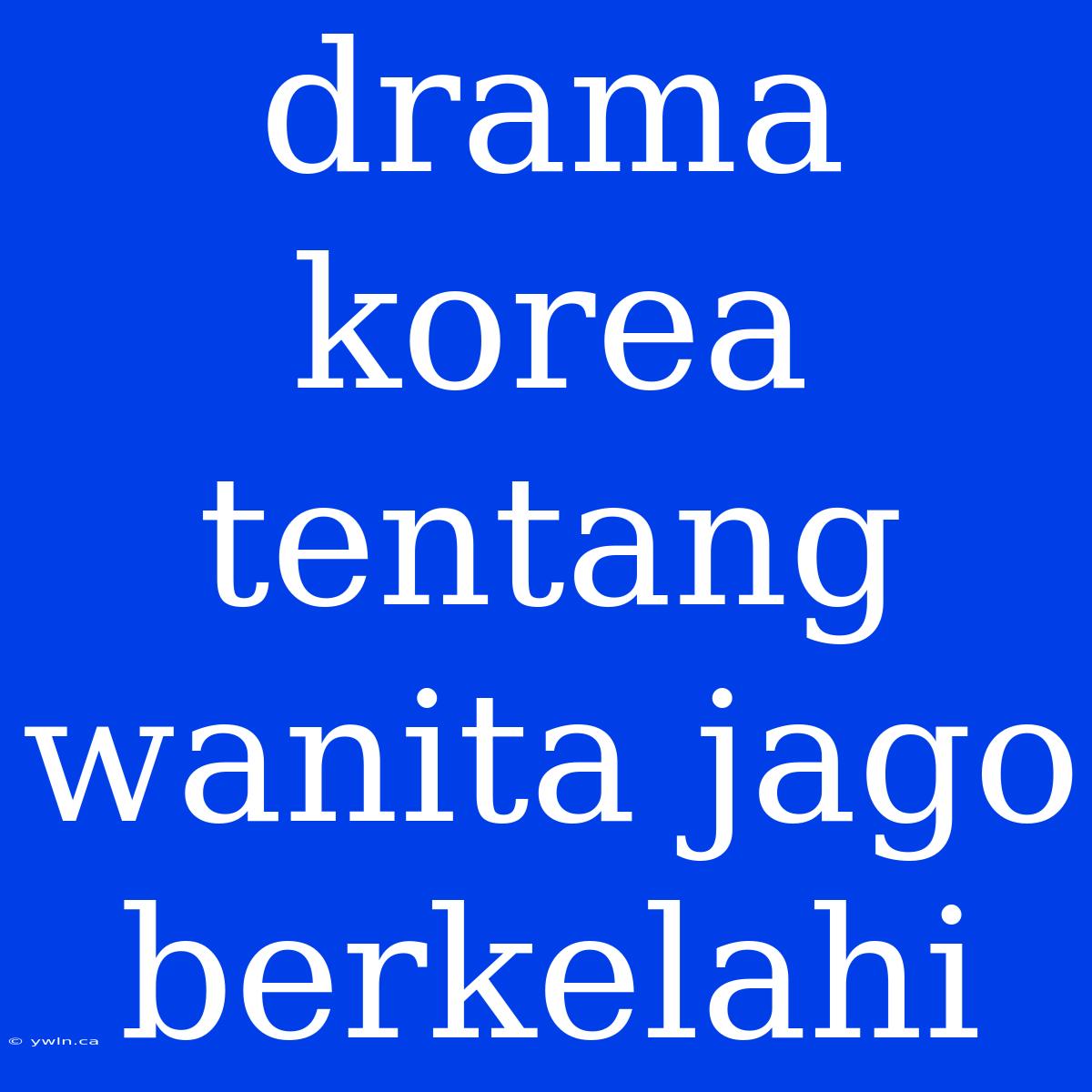 Drama Korea Tentang Wanita Jago Berkelahi