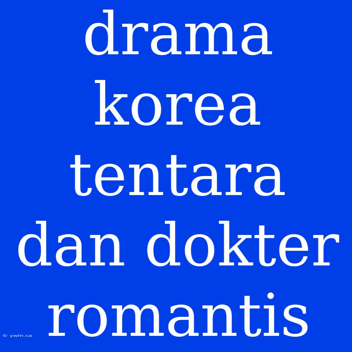 Drama Korea Tentara Dan Dokter Romantis