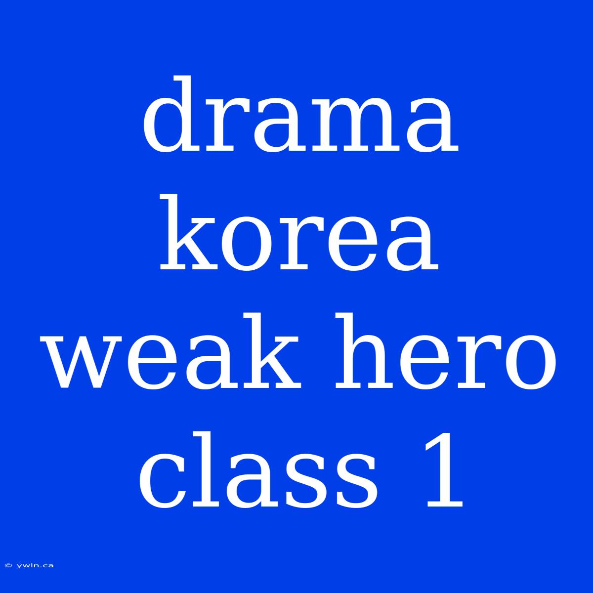 Drama Korea Weak Hero Class 1