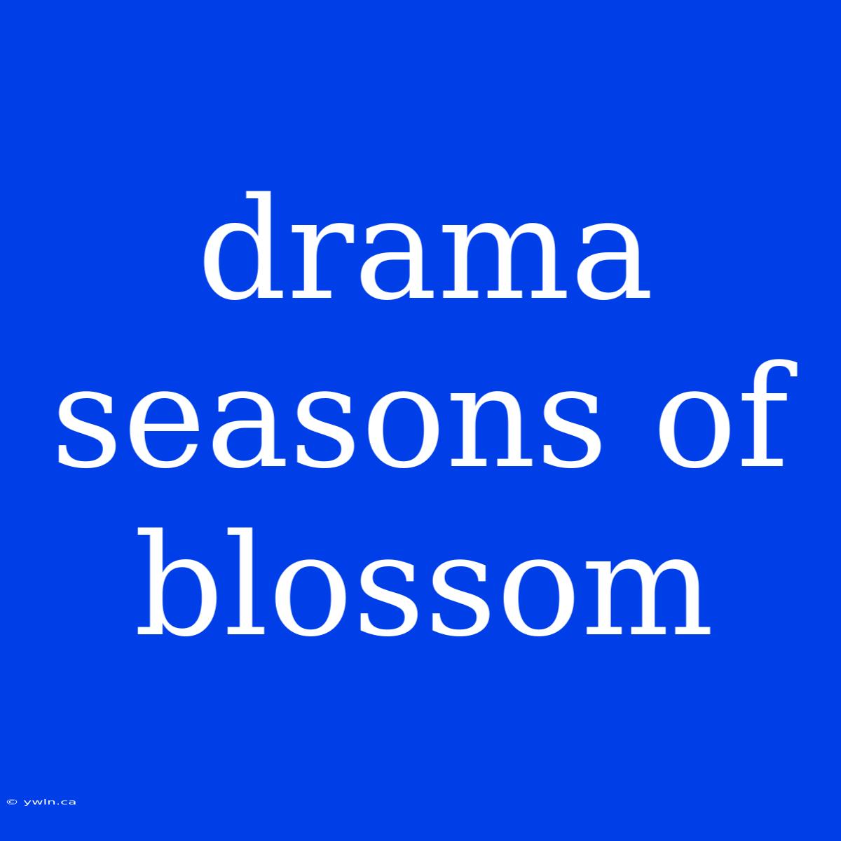 Drama Seasons Of Blossom