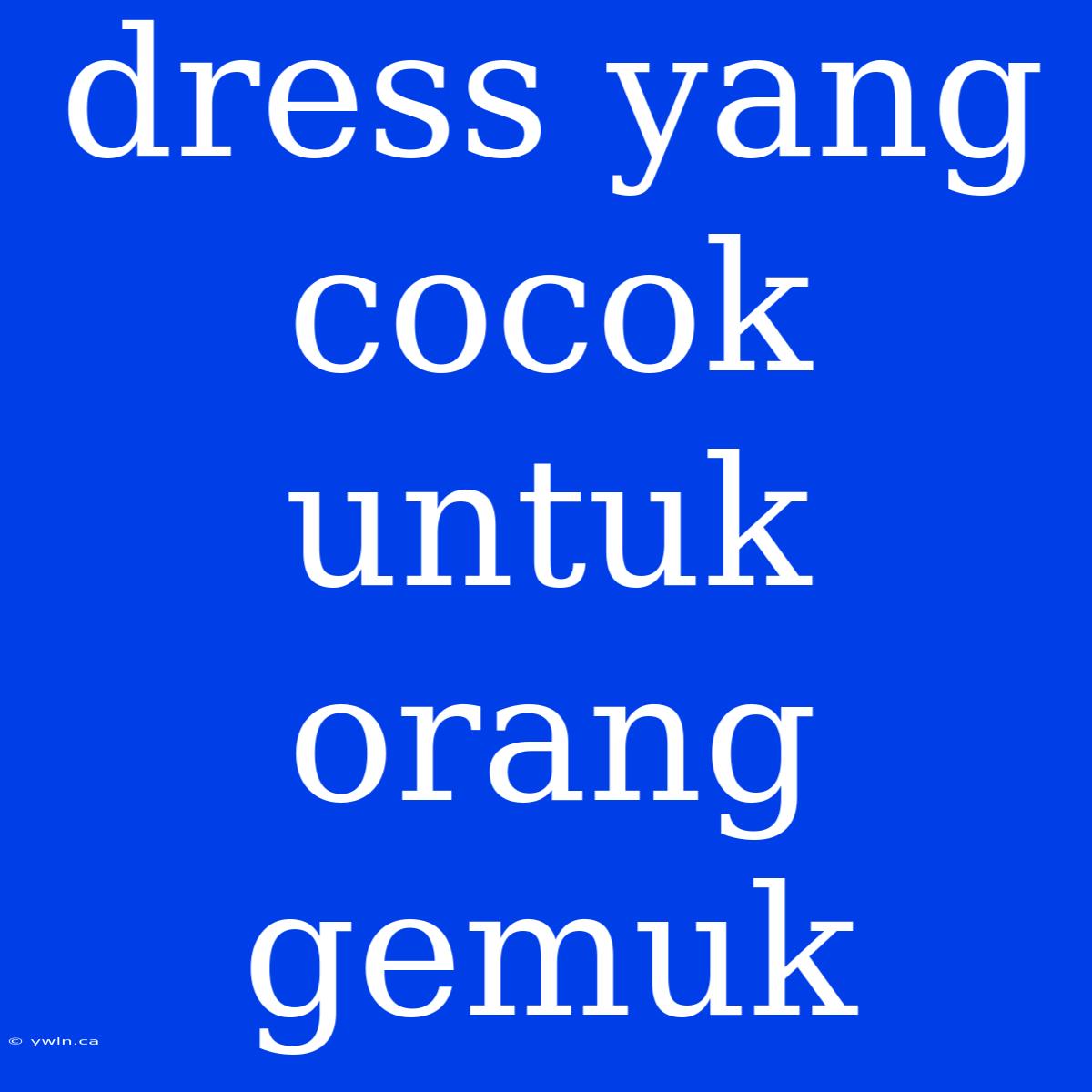 Dress Yang Cocok Untuk Orang Gemuk