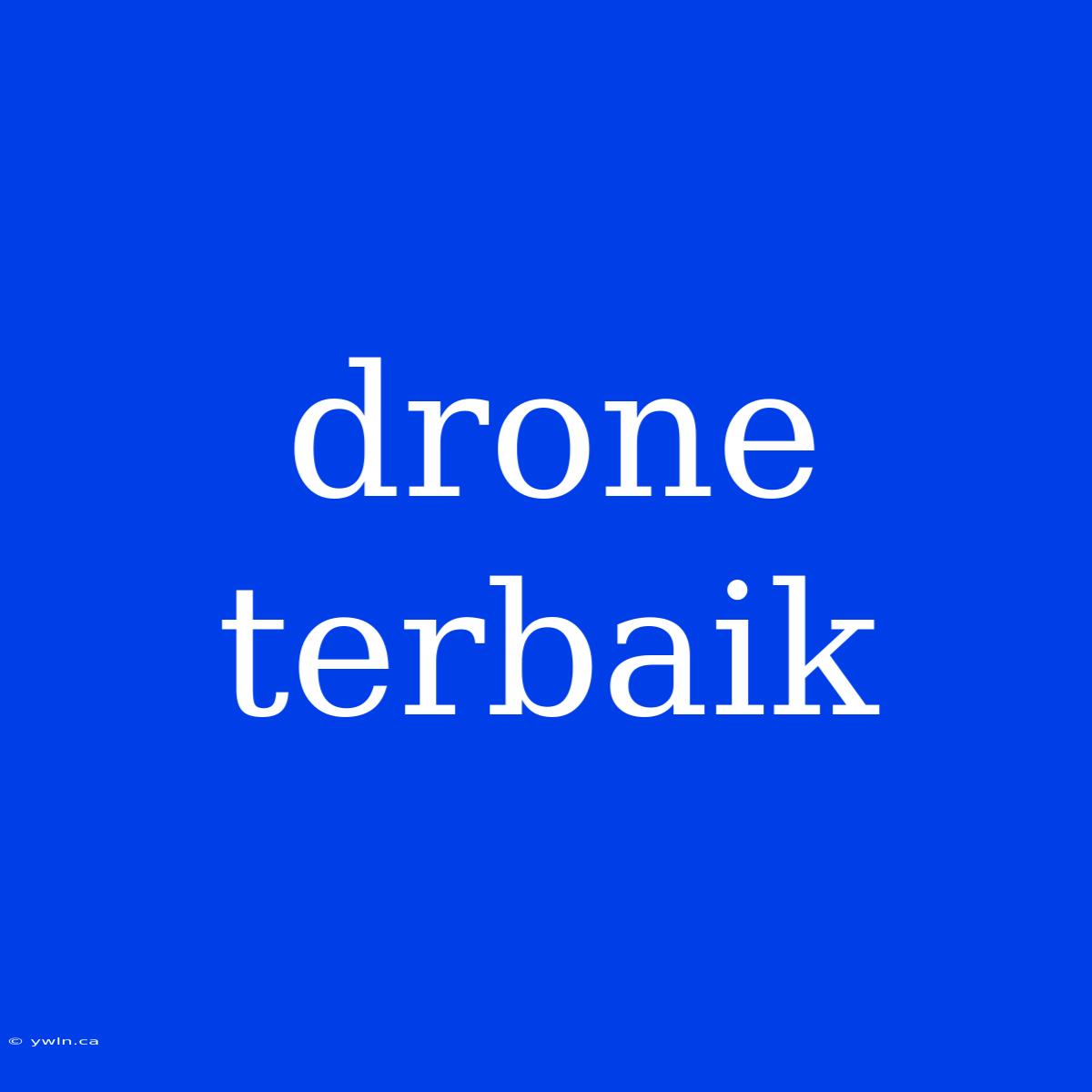 Drone Terbaik