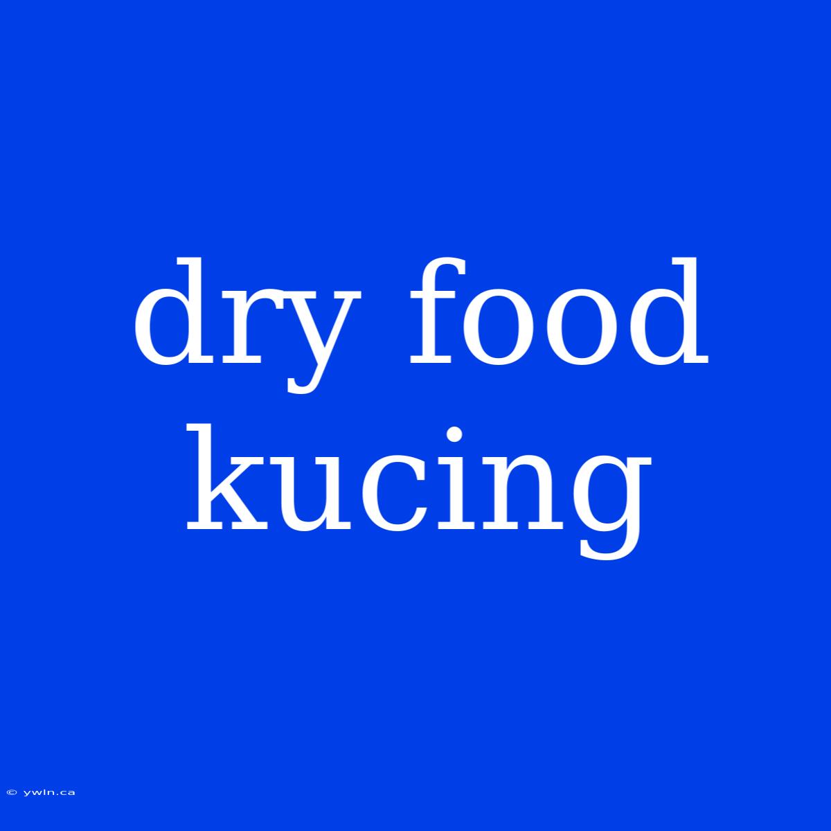 Dry Food Kucing