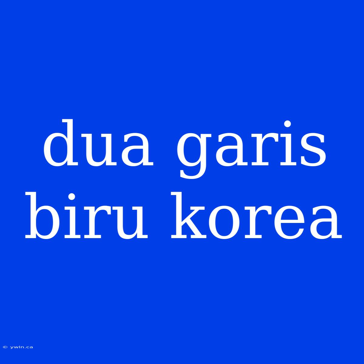 Dua Garis Biru Korea