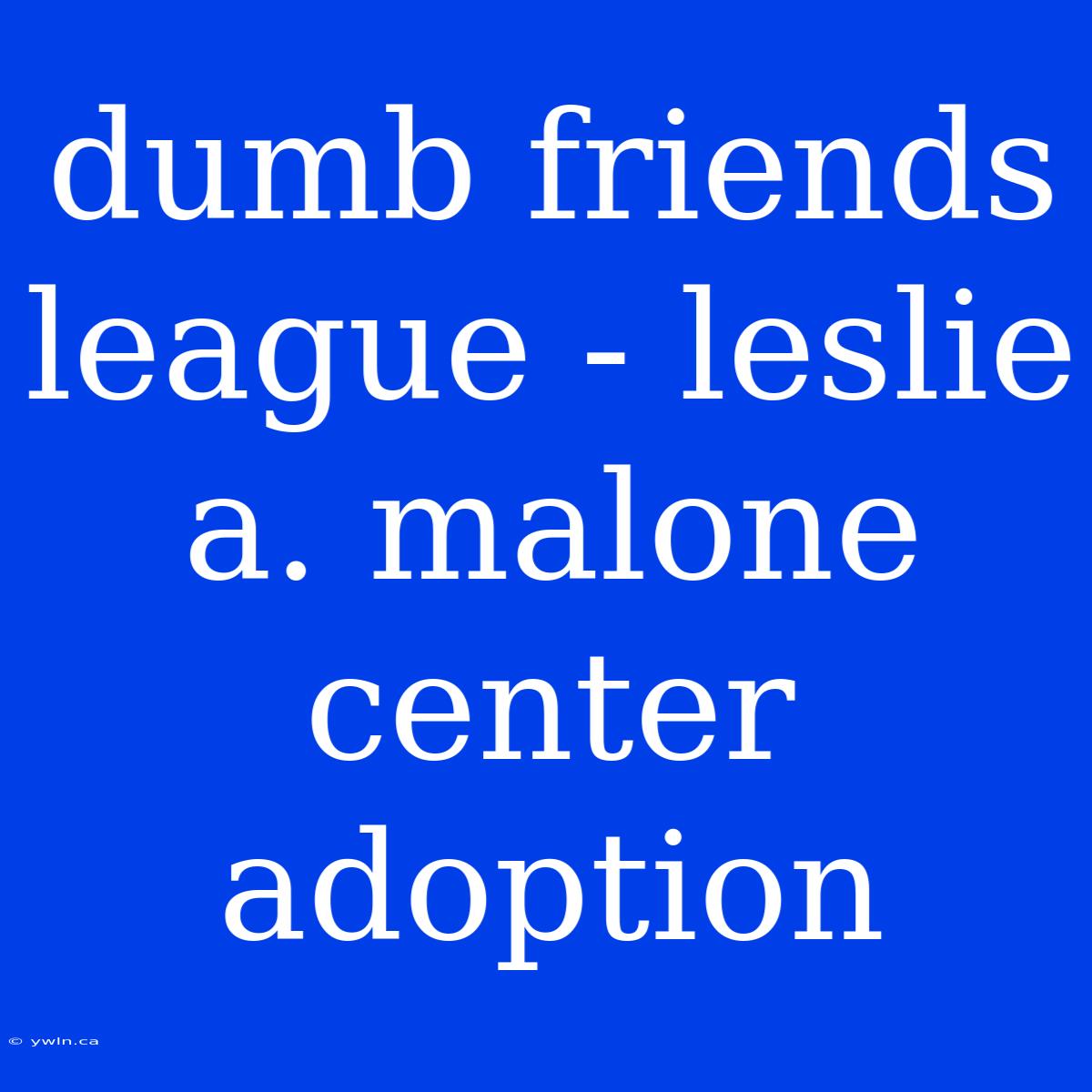 Dumb Friends League - Leslie A. Malone Center Adoption