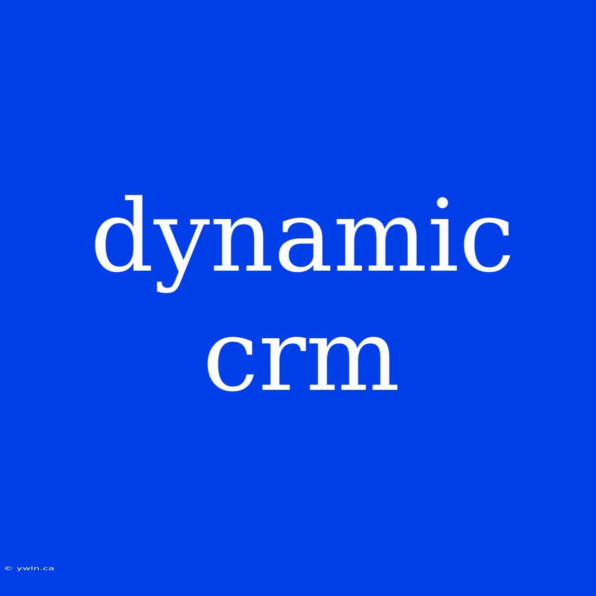 Dynamic Crm