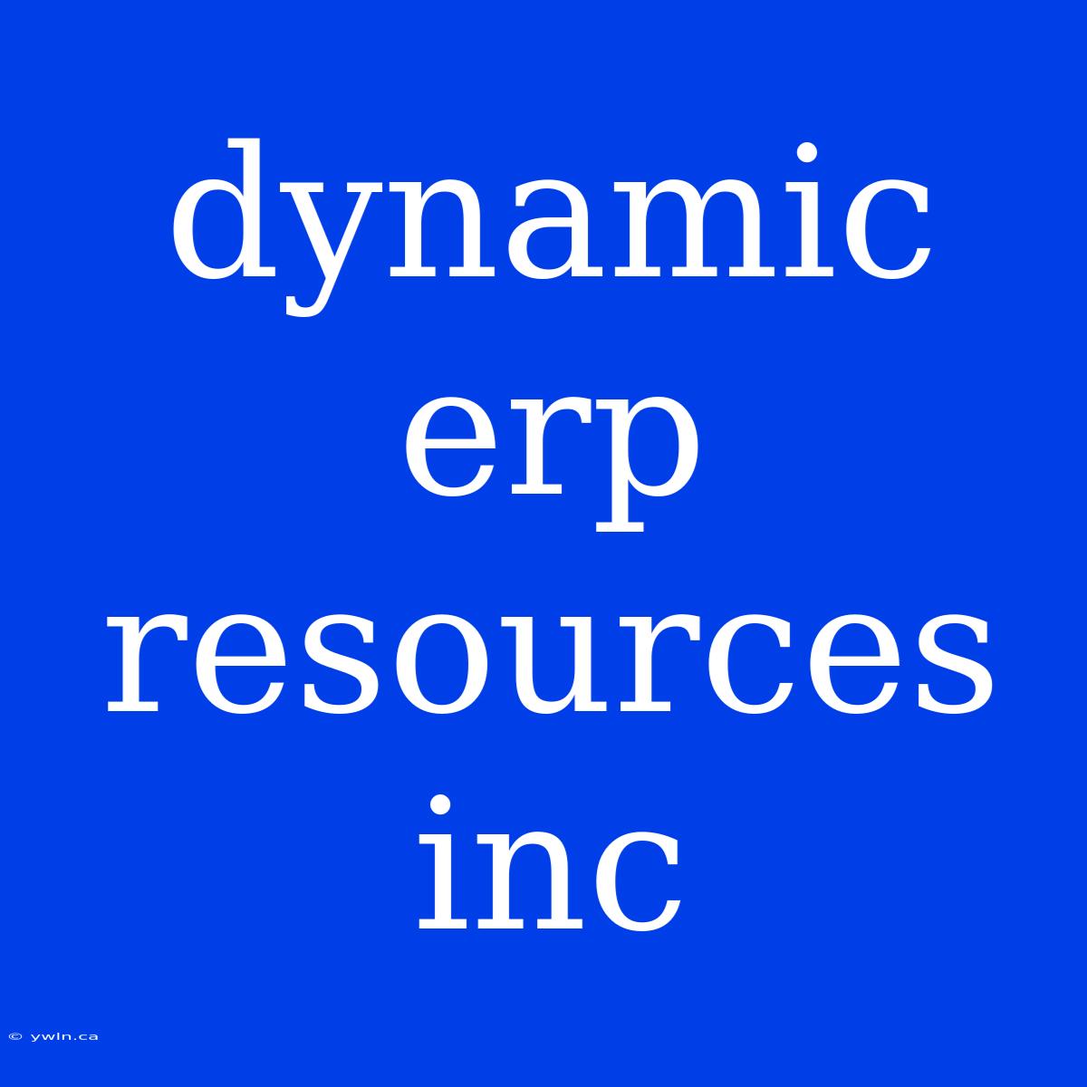 Dynamic Erp Resources Inc