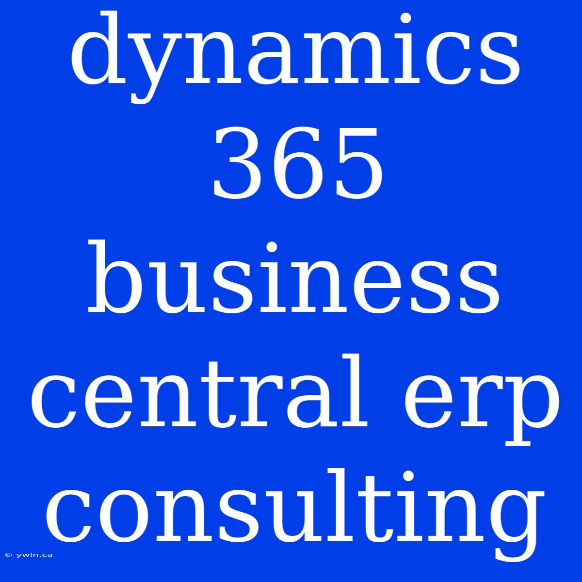 Dynamics 365 Business Central Erp Consulting