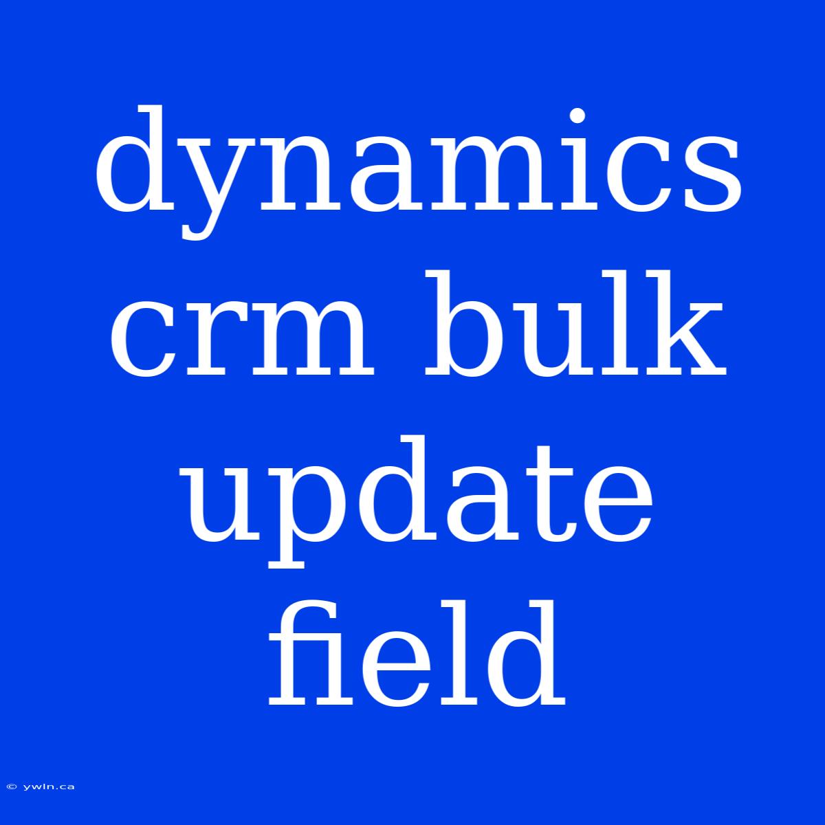 Dynamics Crm Bulk Update Field