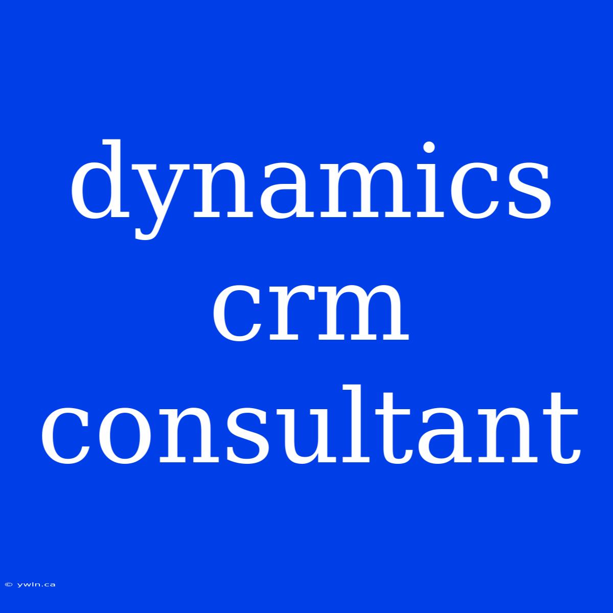 Dynamics Crm Consultant