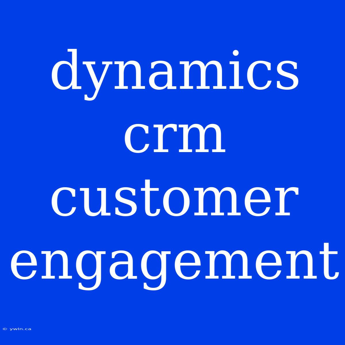 Dynamics Crm Customer Engagement