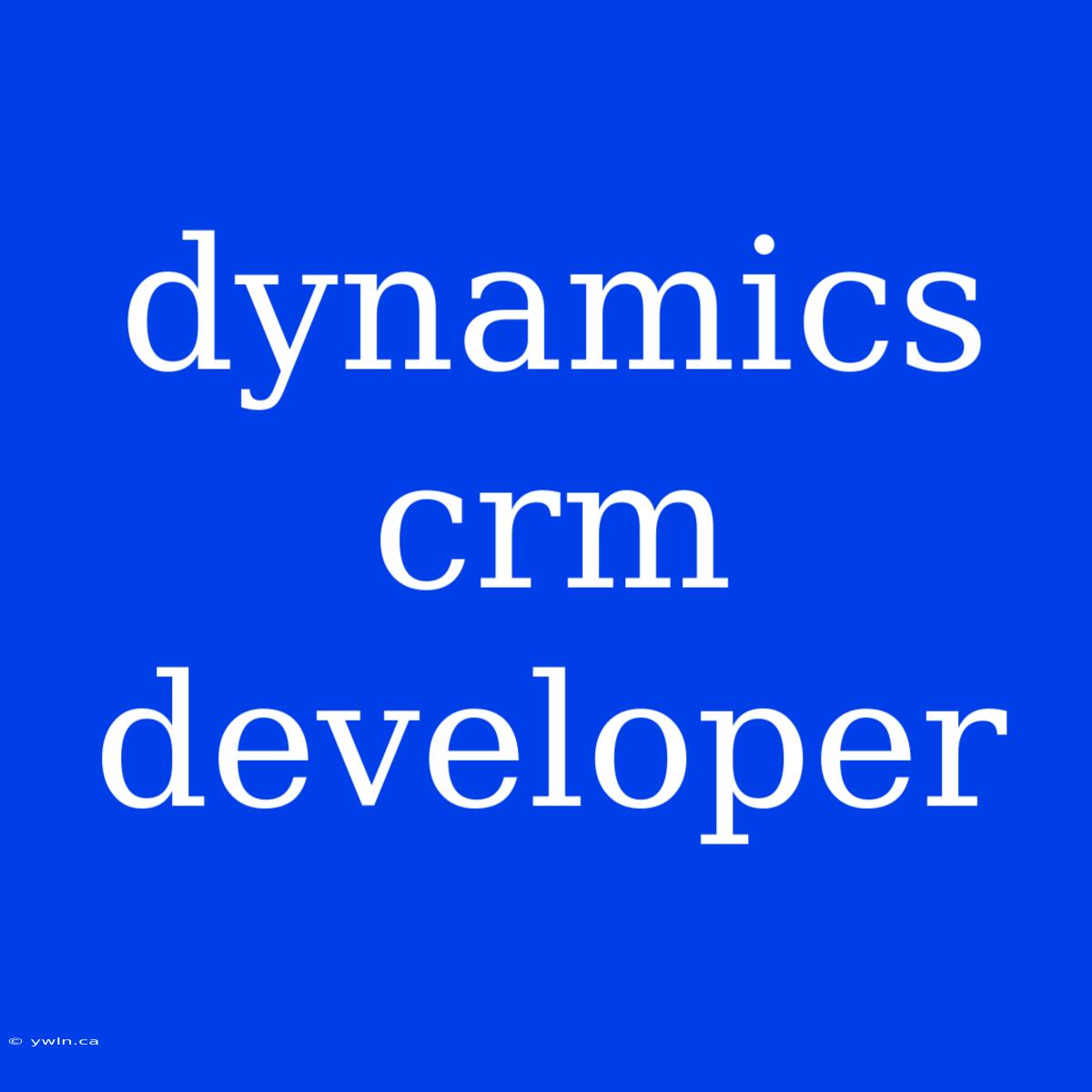 Dynamics Crm Developer