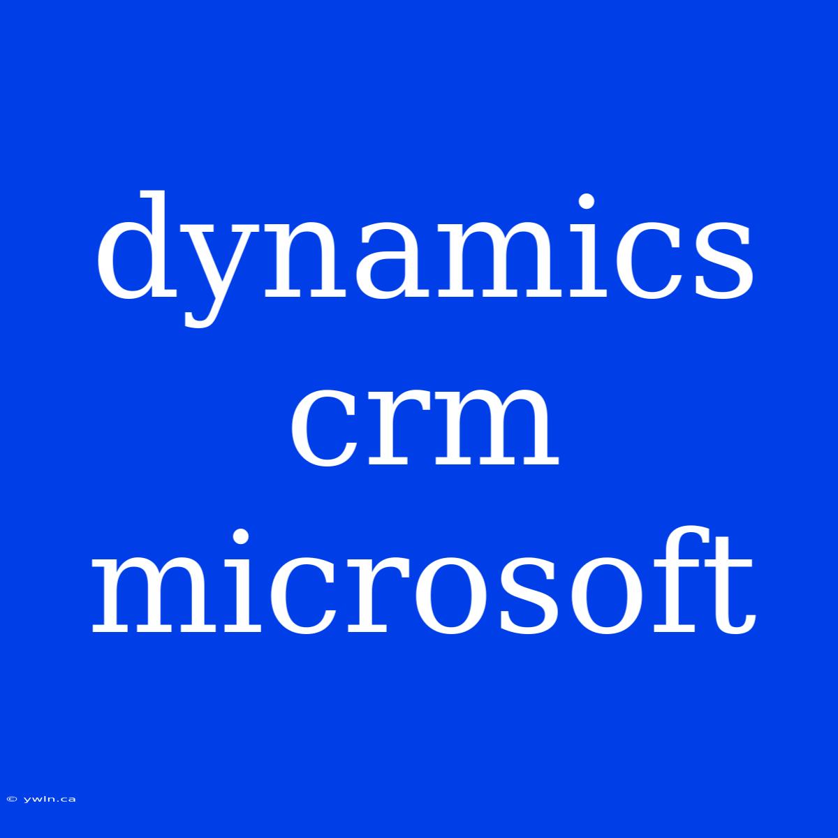 Dynamics Crm Microsoft