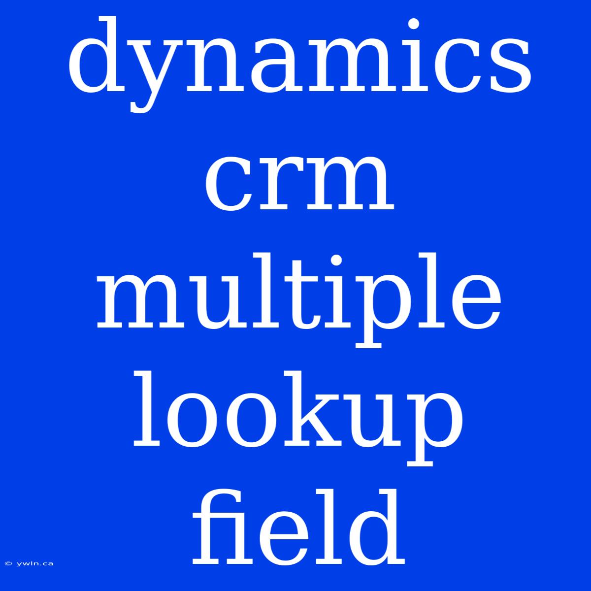 Dynamics Crm Multiple Lookup Field