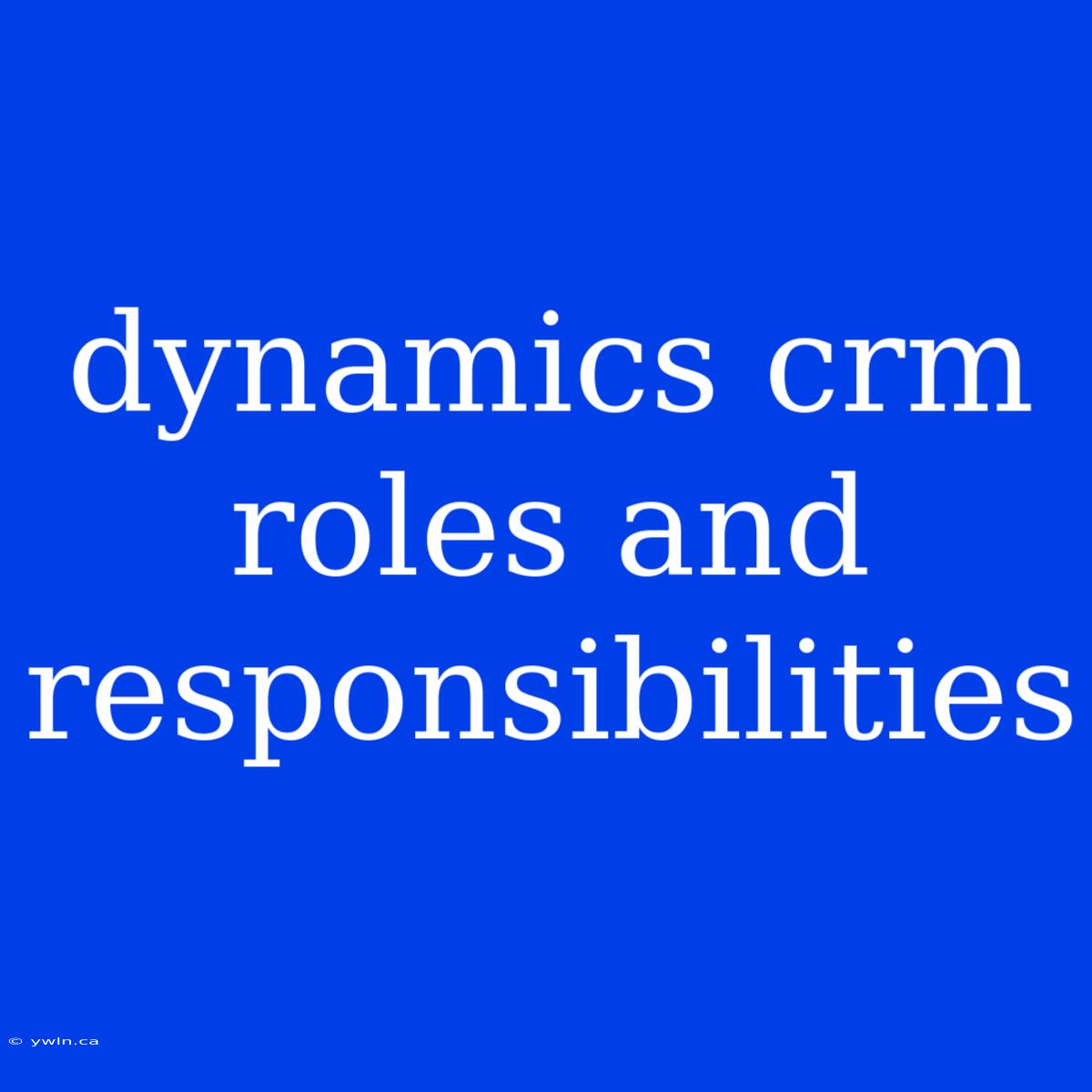 Dynamics Crm Roles And Responsibilities