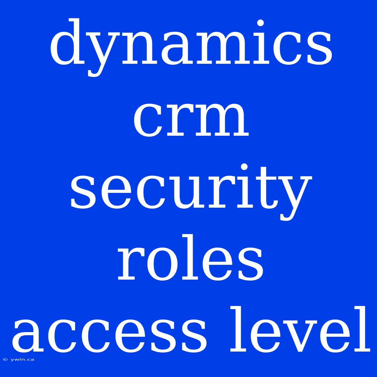 Dynamics Crm Security Roles Access Level