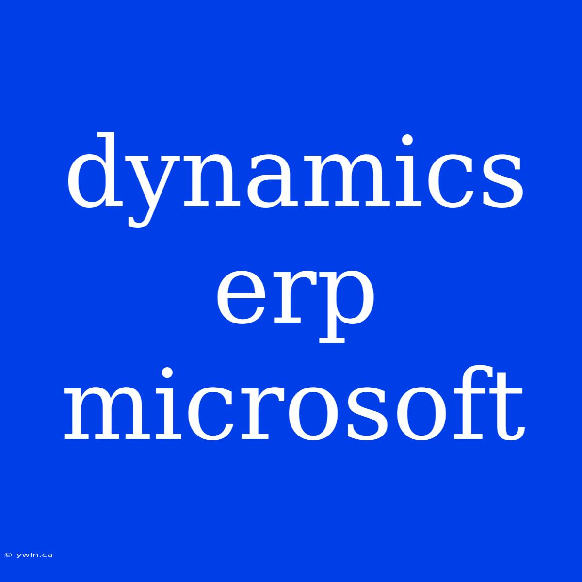 Dynamics Erp Microsoft