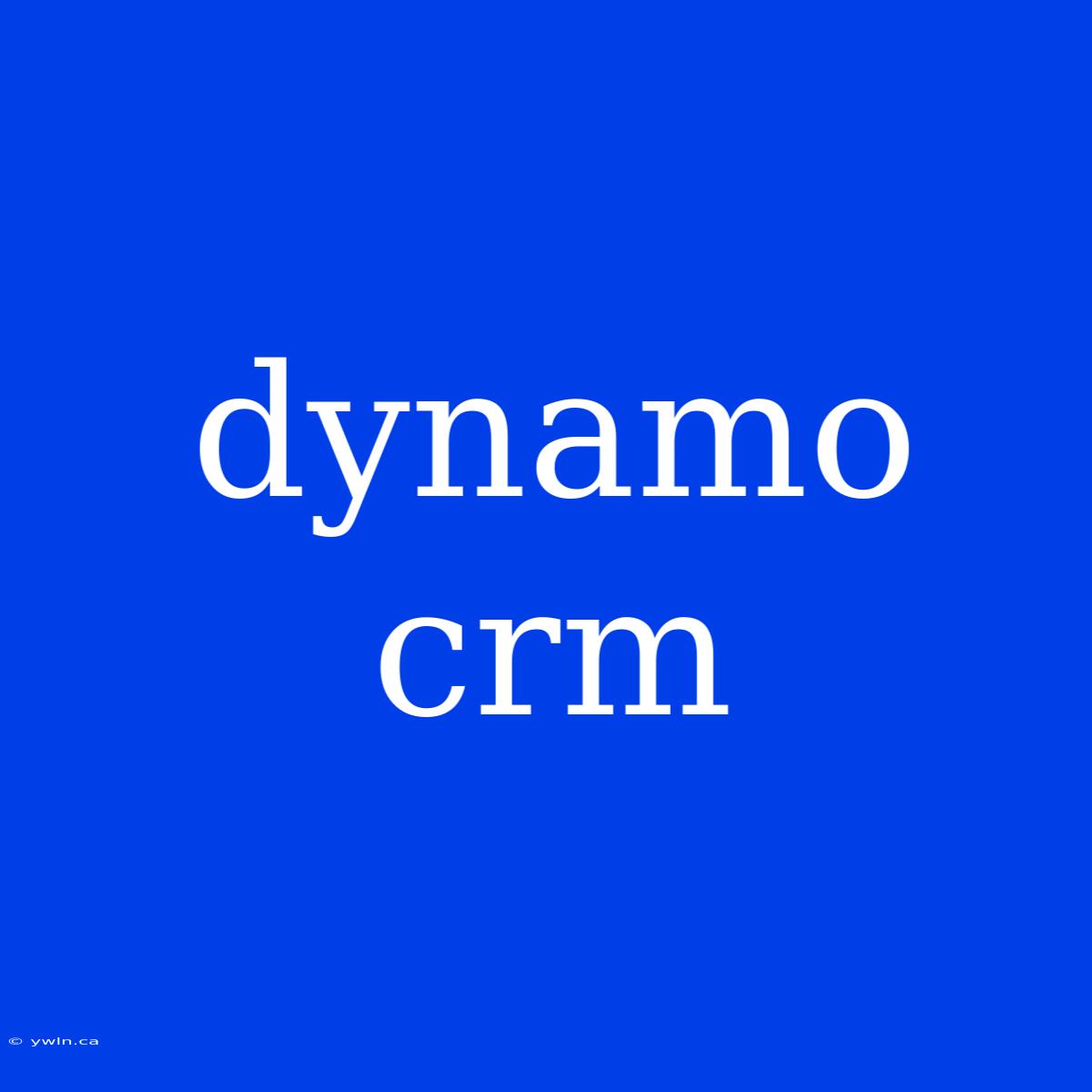 Dynamo Crm