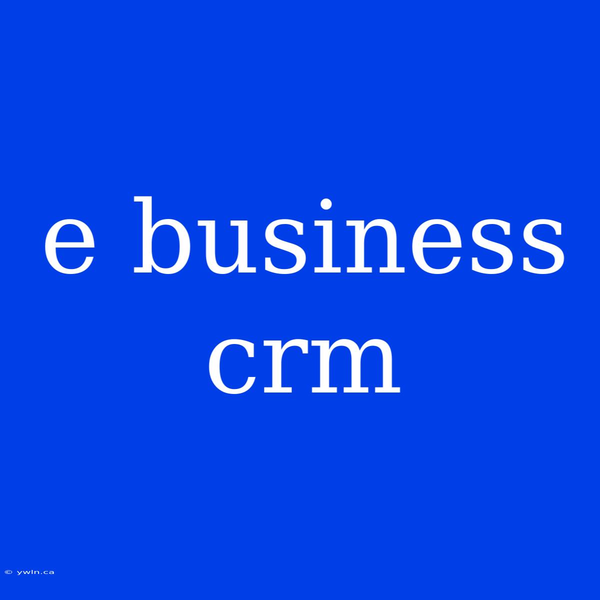 E Business Crm