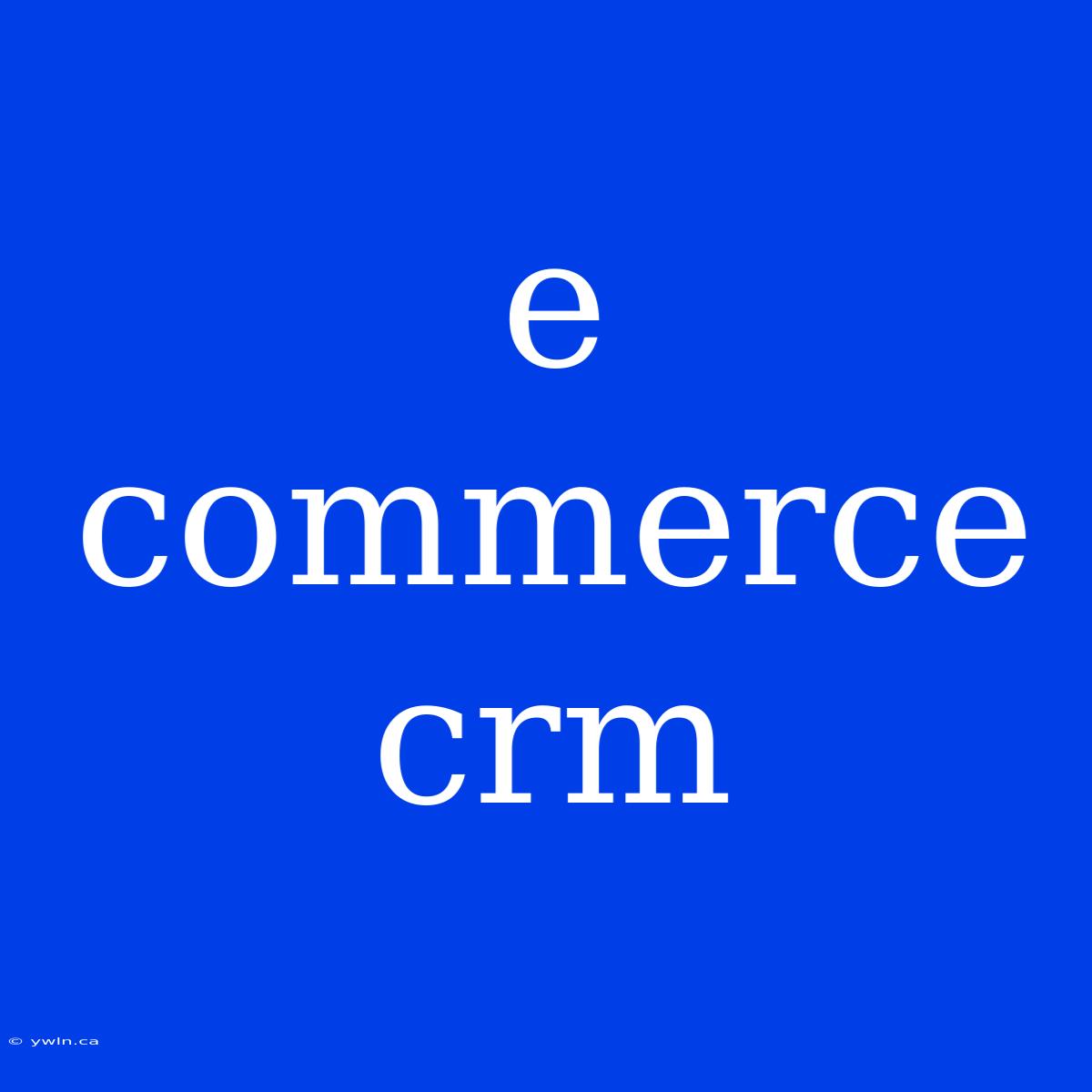 E Commerce Crm