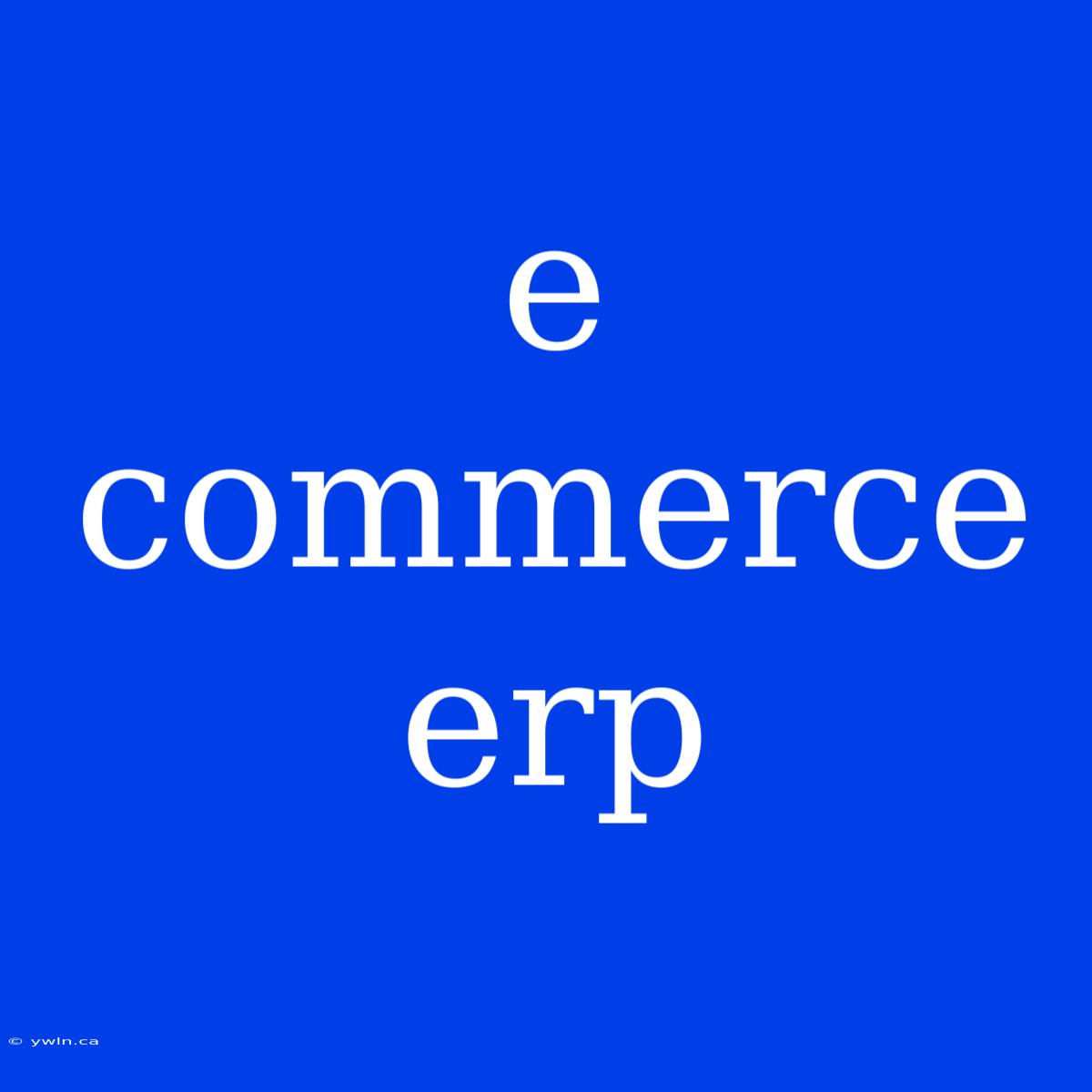 E Commerce Erp