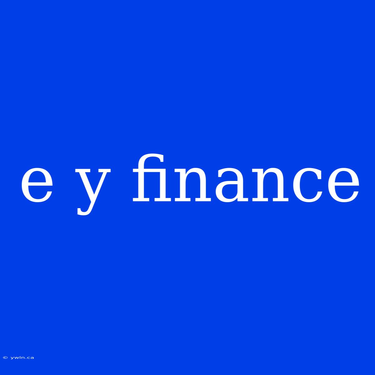 E Y Finance