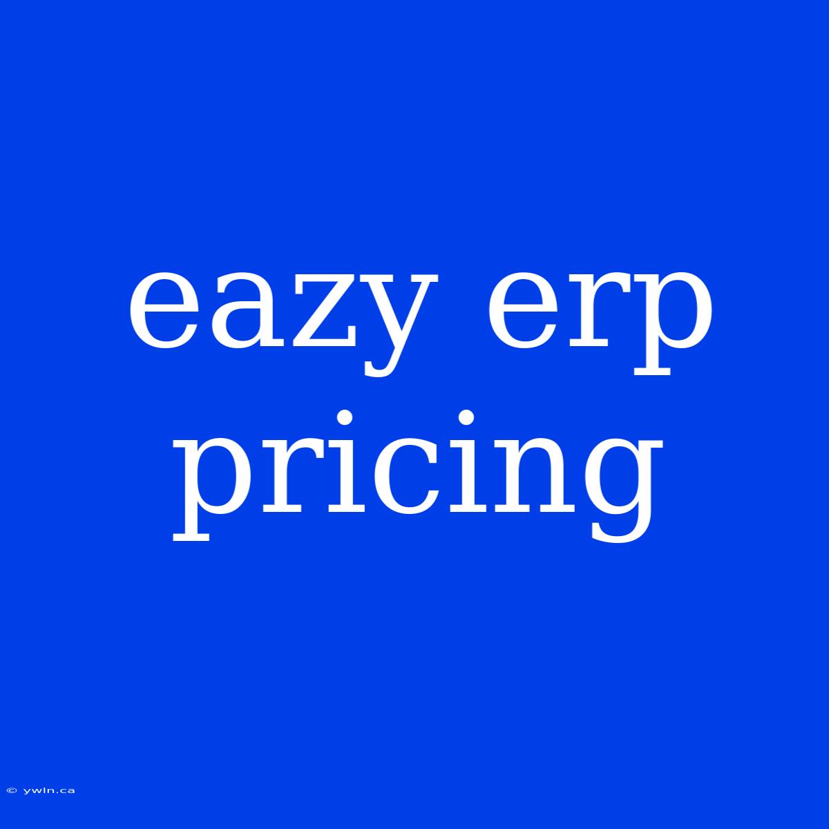 Eazy Erp Pricing