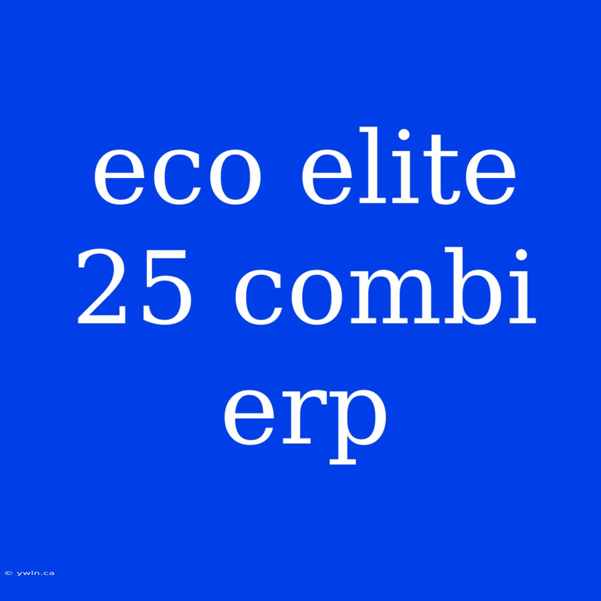 Eco Elite 25 Combi Erp